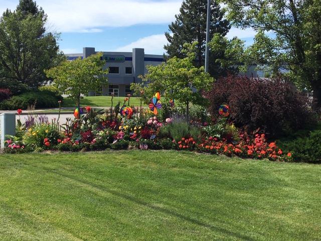 Library Corner Garden