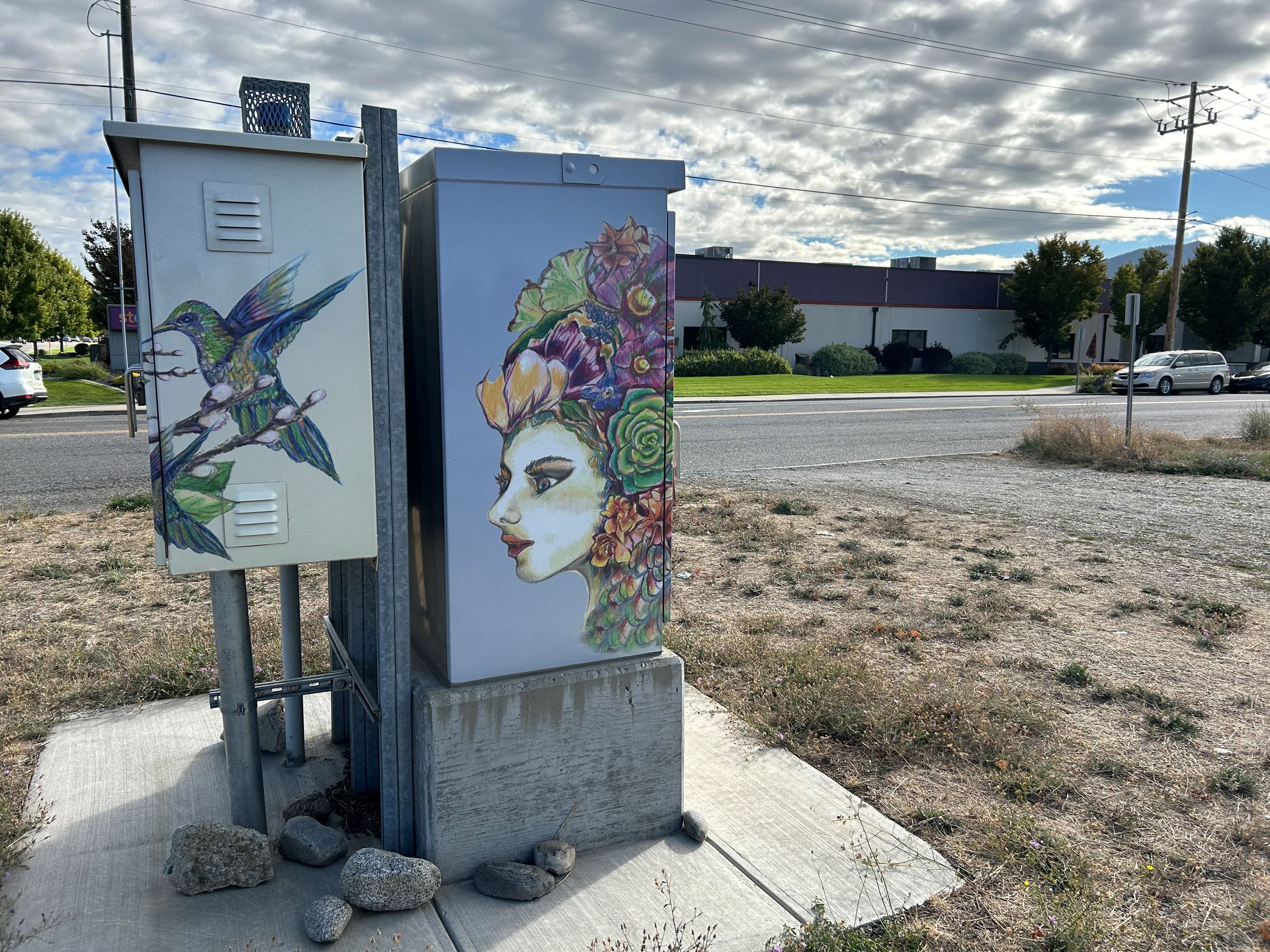 Image of a Box Wrap of Mother Earth Art