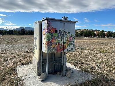 Image of a Box Wrap of Mother Earth Art